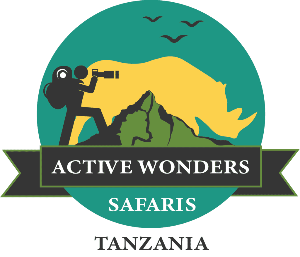 Serengeti Airports Guide To Serengeti Essential Airstrips serengeti-airports-guide-to-serengeti-essential-airstrips