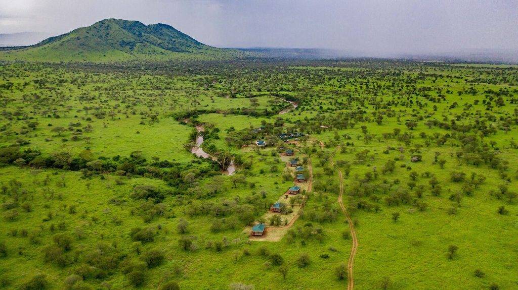 Tanzania Mid-range safari