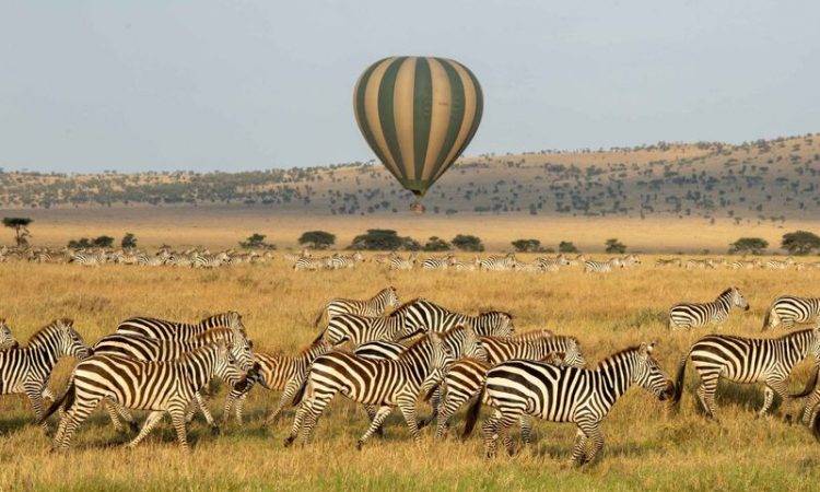 7 Days tanzania Safari